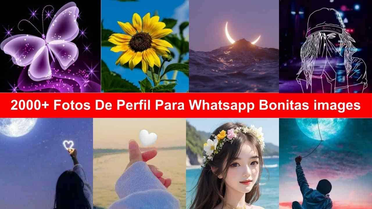 Fotos De Perfil Para Whatsapp Bonitas images