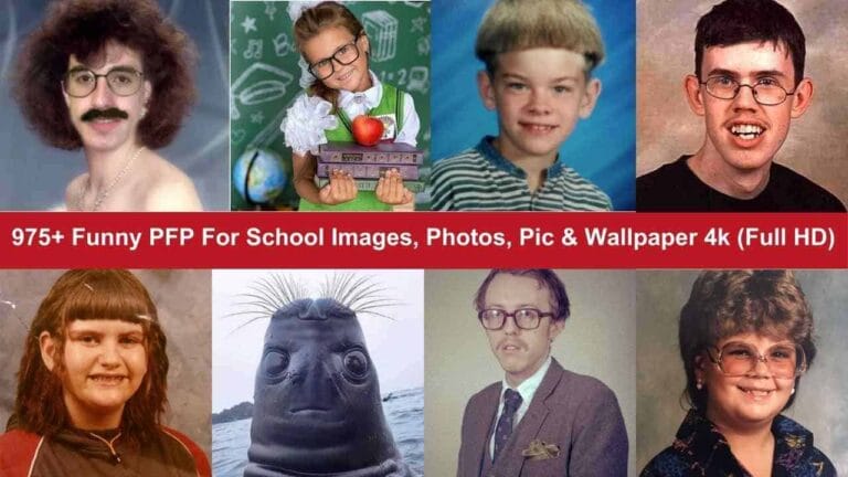 Funny PFP For School Images, Photos, Pic 4k
