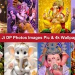 Ganesh Ji DP Photos Images Pic & 4k Wallpaper (New HD)