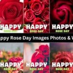 Happy Rose Day Images Photos & Wallpaper