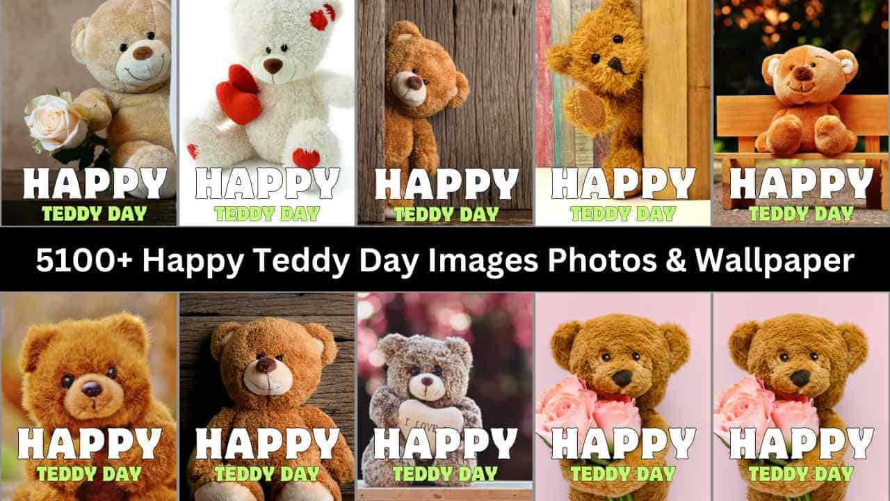 Happy Teddy Day Images Photos & Wallpaper