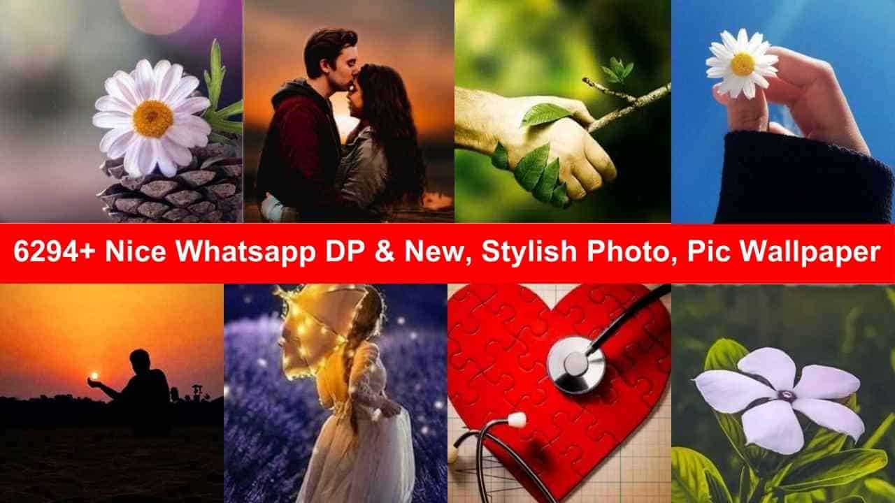 Nice Whatsapp DP & New, Stylish Photo, Pic Wallpaper