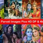 Shiva Parvati Images Pics HD DP & 4k Wallpapers