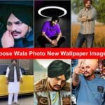 Sidhu Moose Wala Photo New Wallpaper Images