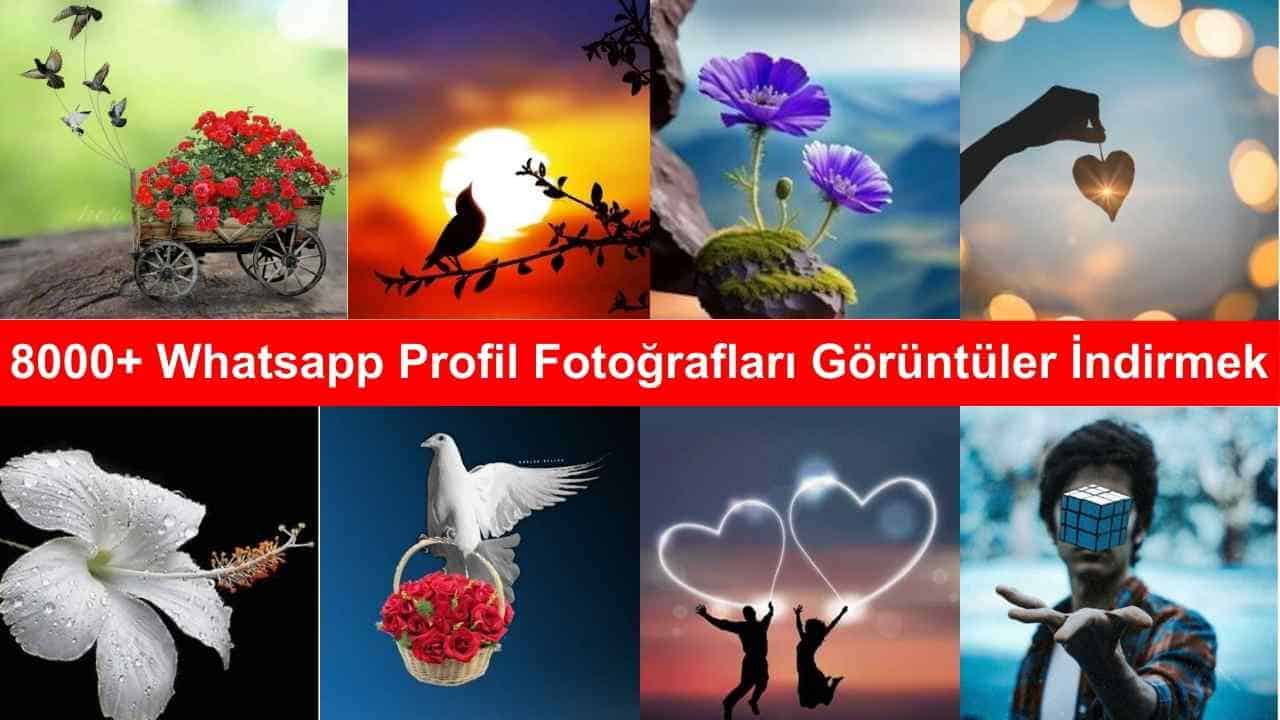 Whatsapp Profil Fotografları