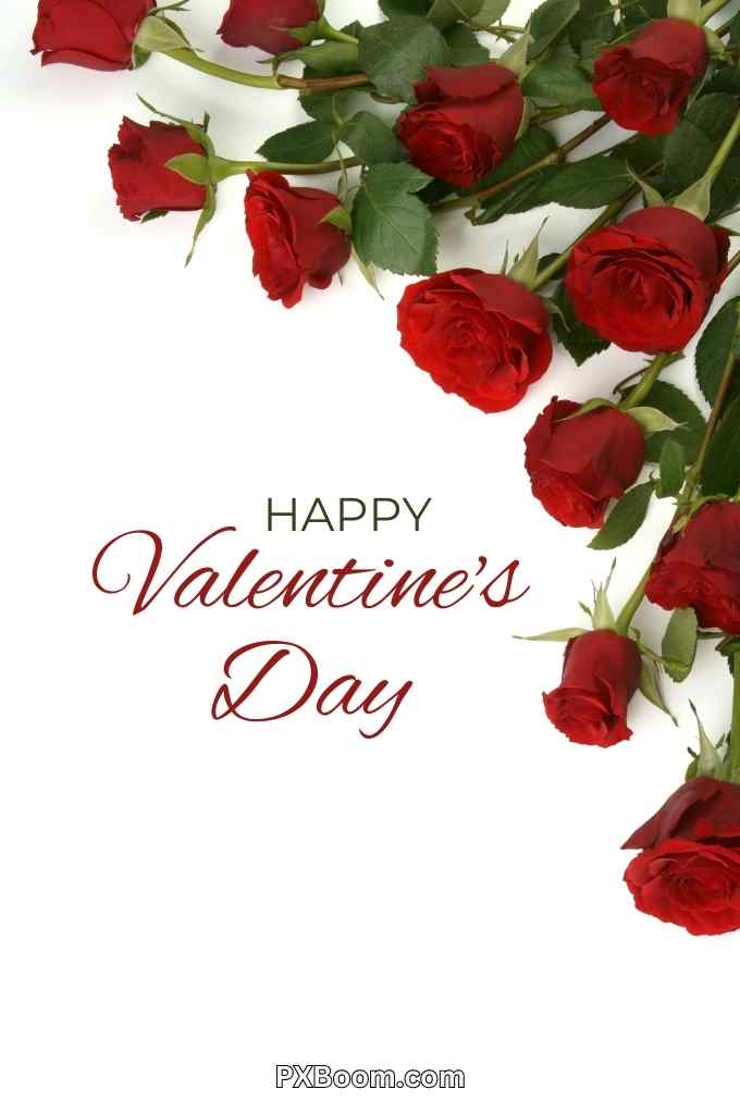 Happy Valentines Day Images Gif