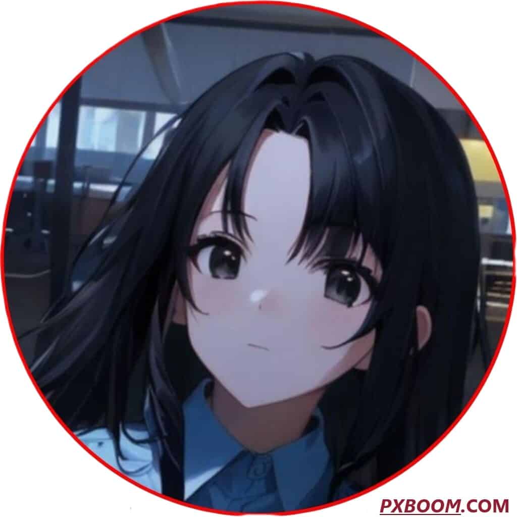 black hair anime girl pfp 2 1024x1024 1 Funny PFP For School