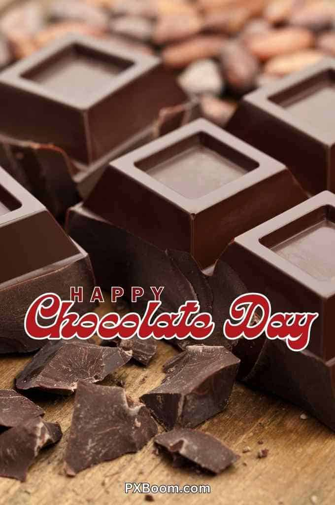 Chocolate Day Dairy Milk Images