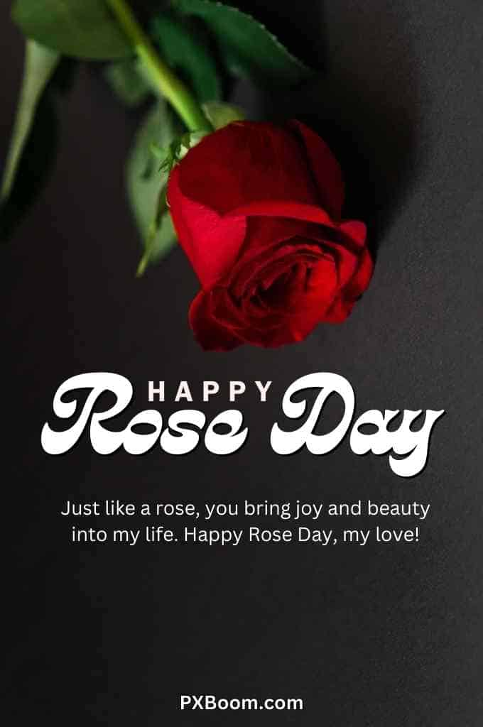 Happy Rose Day Love Photo