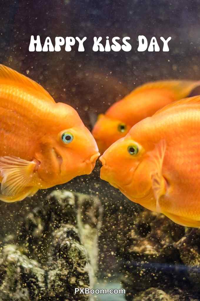 fish kissing kiss day