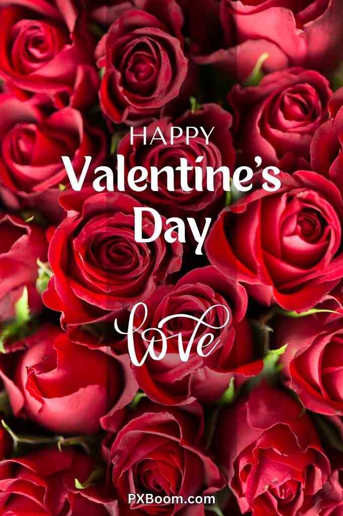 Happy Valentine Day Brother Images