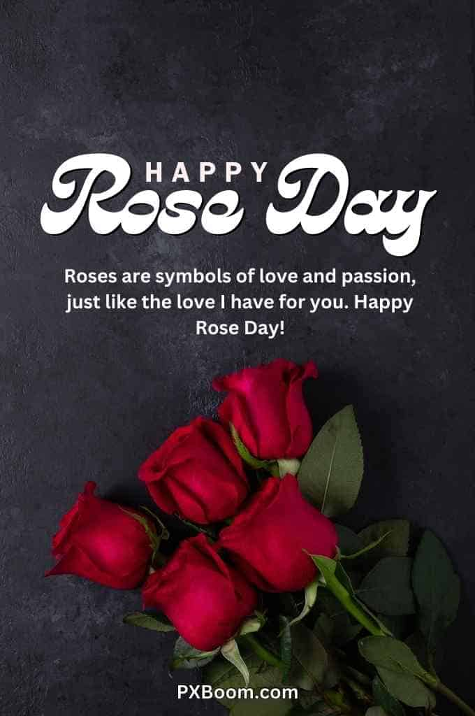 Happy Rose Day My Love Photo