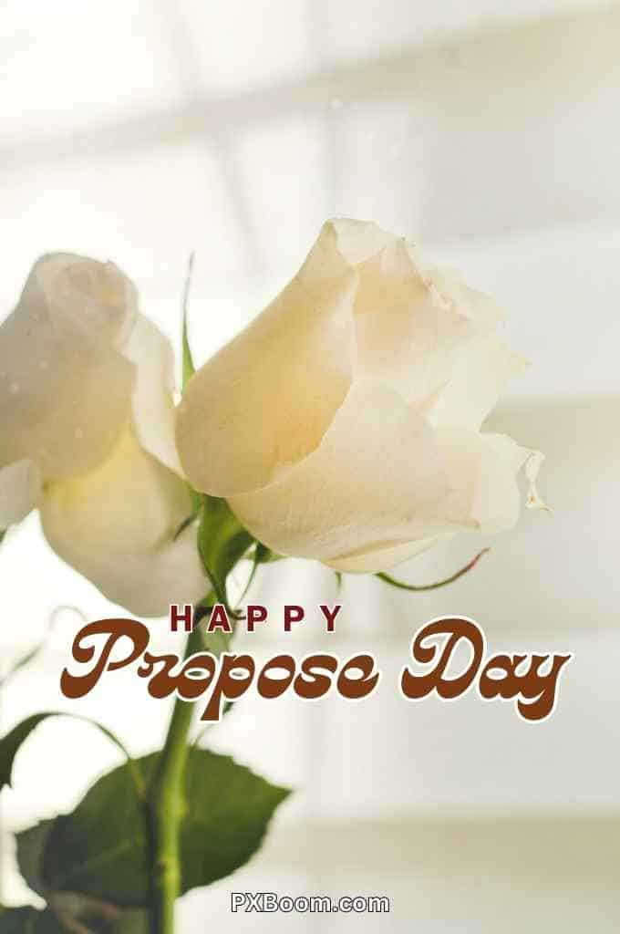 propose day white rose card