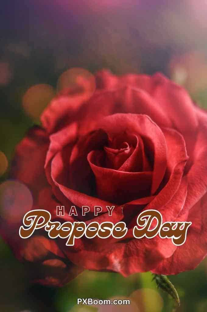 happy propose day rose card