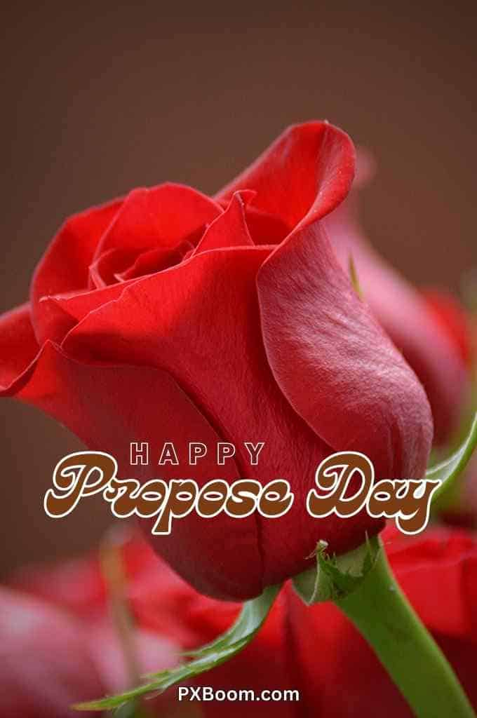 happy propose day rose greeting