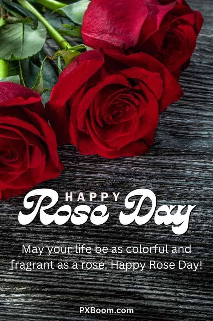 Happy Rose Day Ka Photo