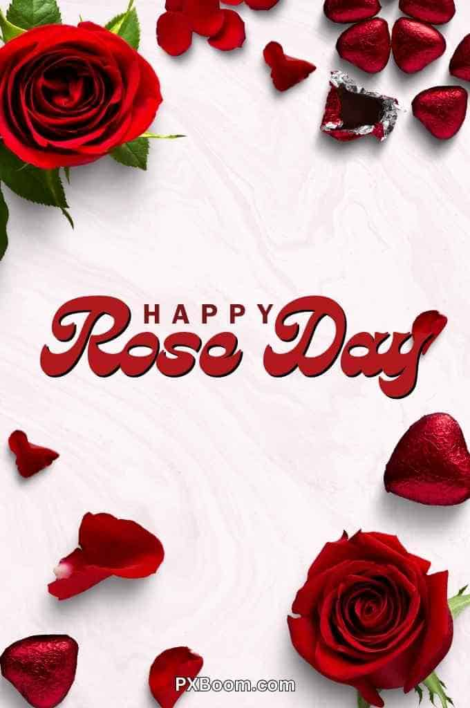 Happy Rose Day Status Photo