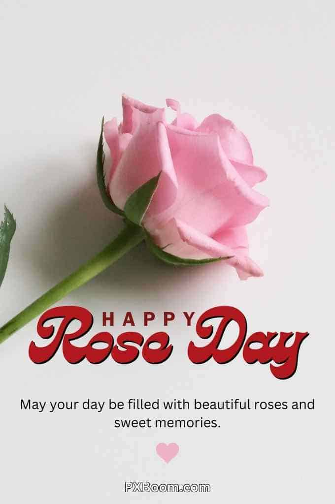 Happy Rose Day Photo Shayari Download