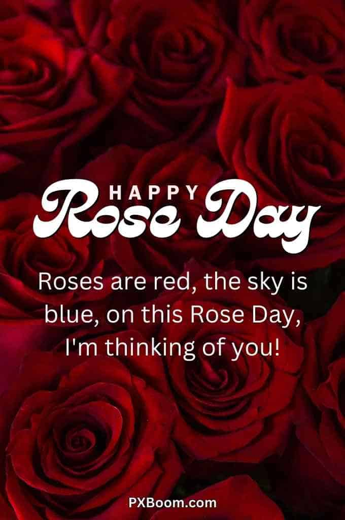 Happy Rose Day Photo