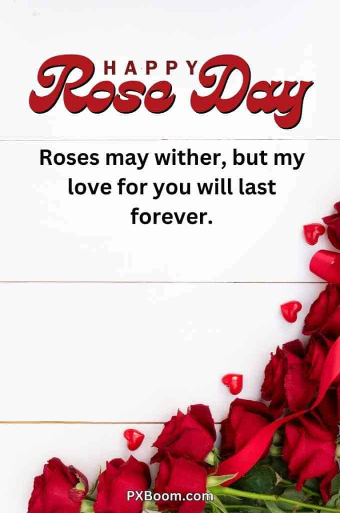 Happy Rose Day Hd Images Download