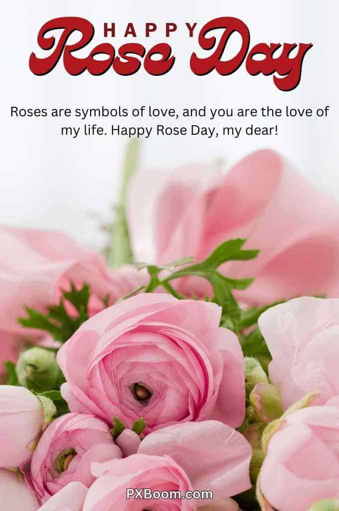 Happy Rose Day New Images