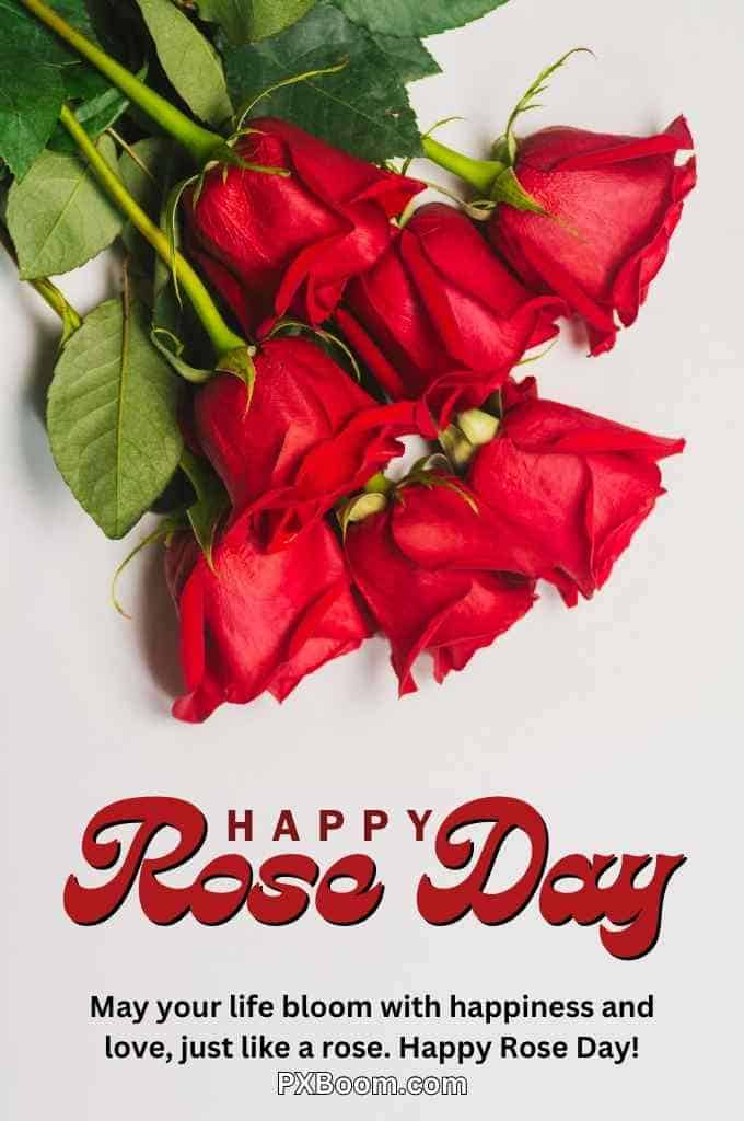 Happy Rose Day Wishes Image