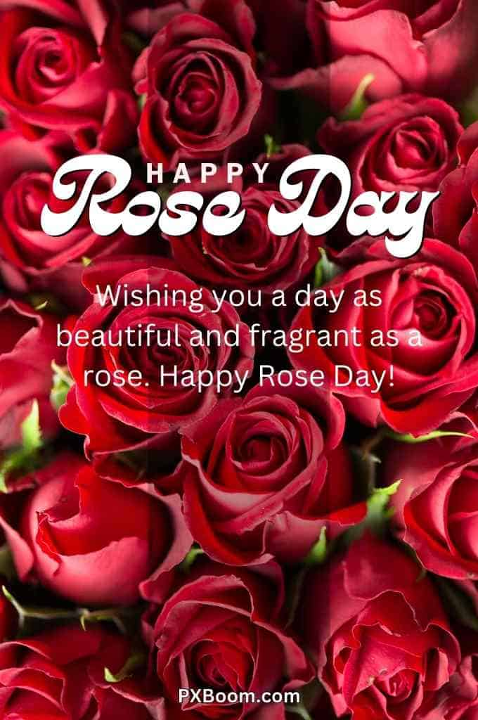 Happy Rose Day Couple Images