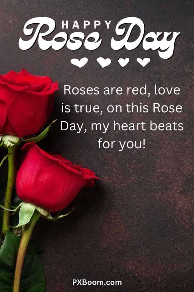 Happy Rose Day Images For Husband