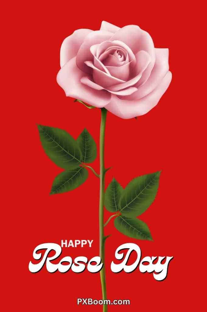 Happy Rose Day Photo Full Hd