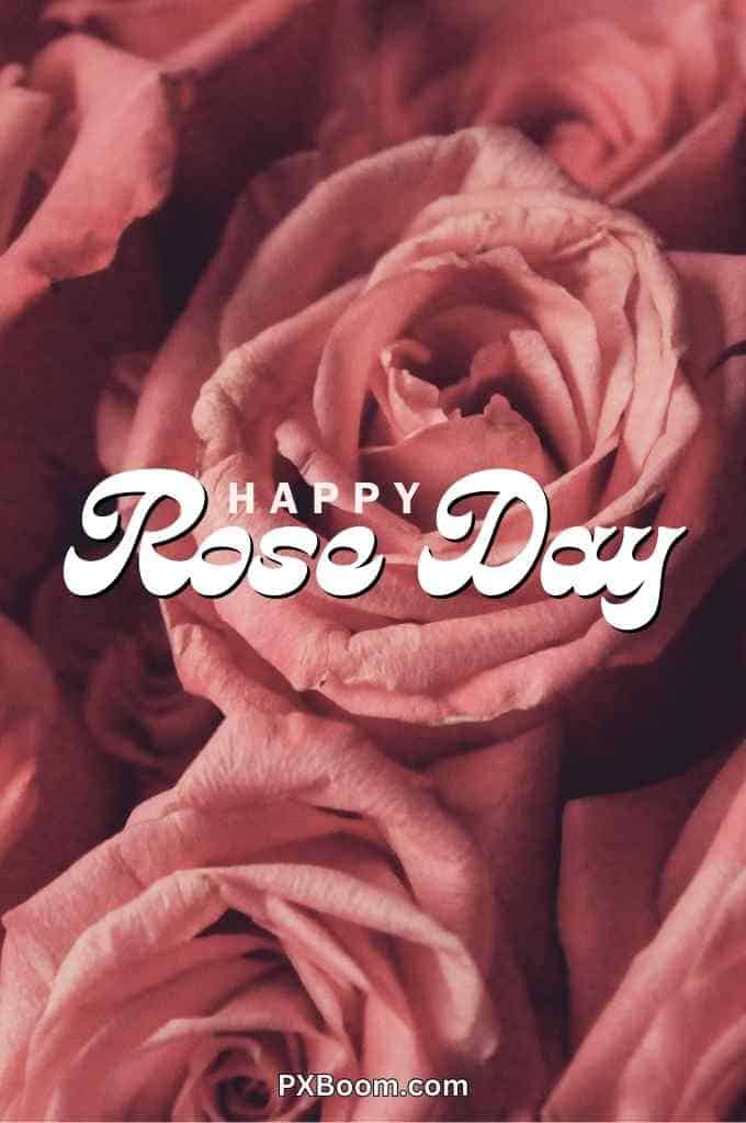 Happy Rose Day Images Hd Free Download