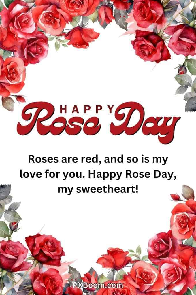 Happy Valentine Day Rose Image