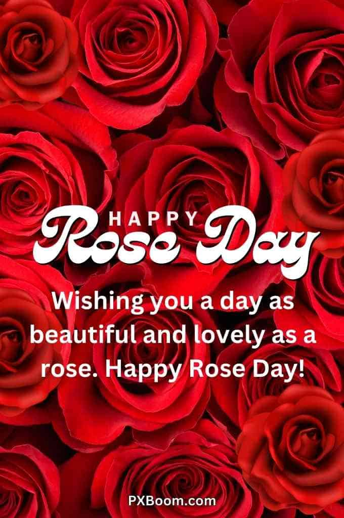 Happy Valentines Day Roses Images