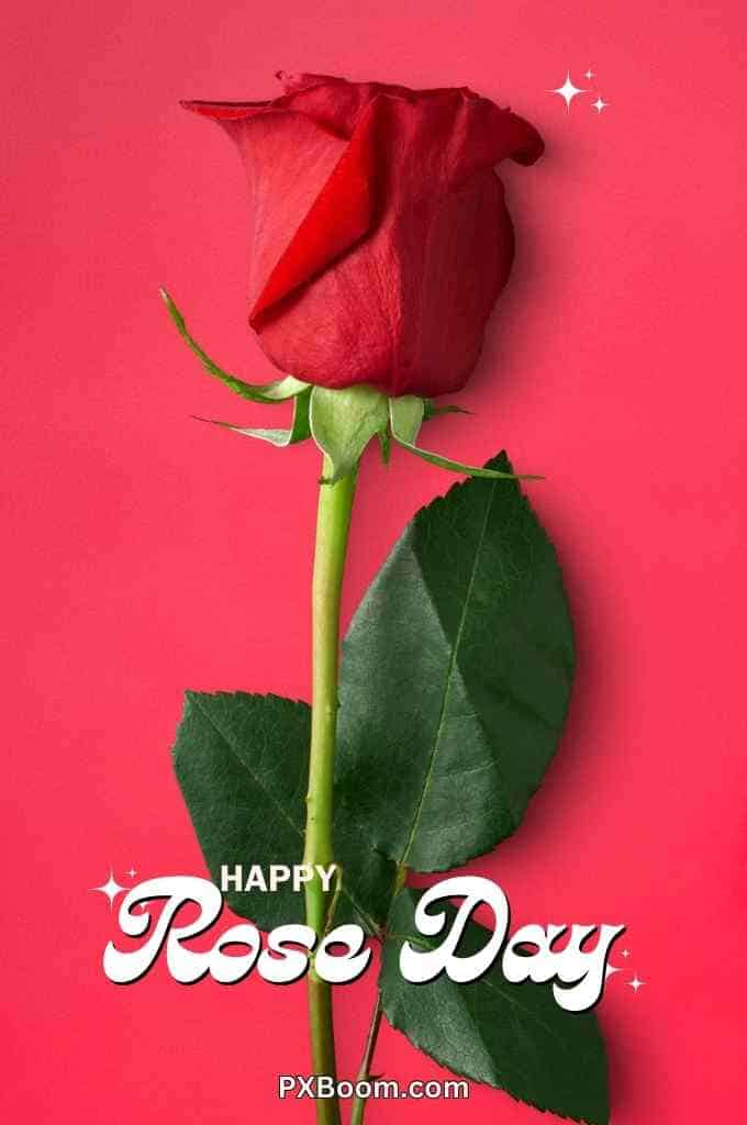 Happy Rose Day Photo Shayari