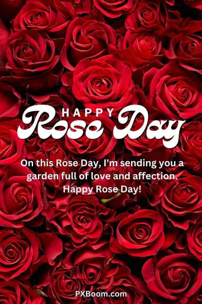 Happy Rose Day My Love Images