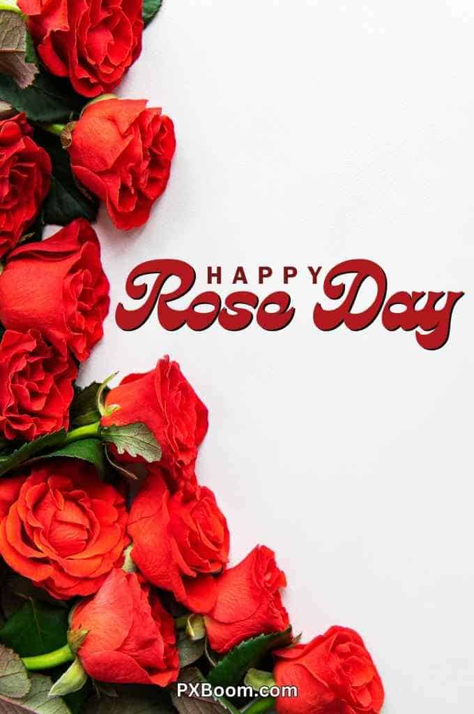 Happy Rose Day Jaan Image