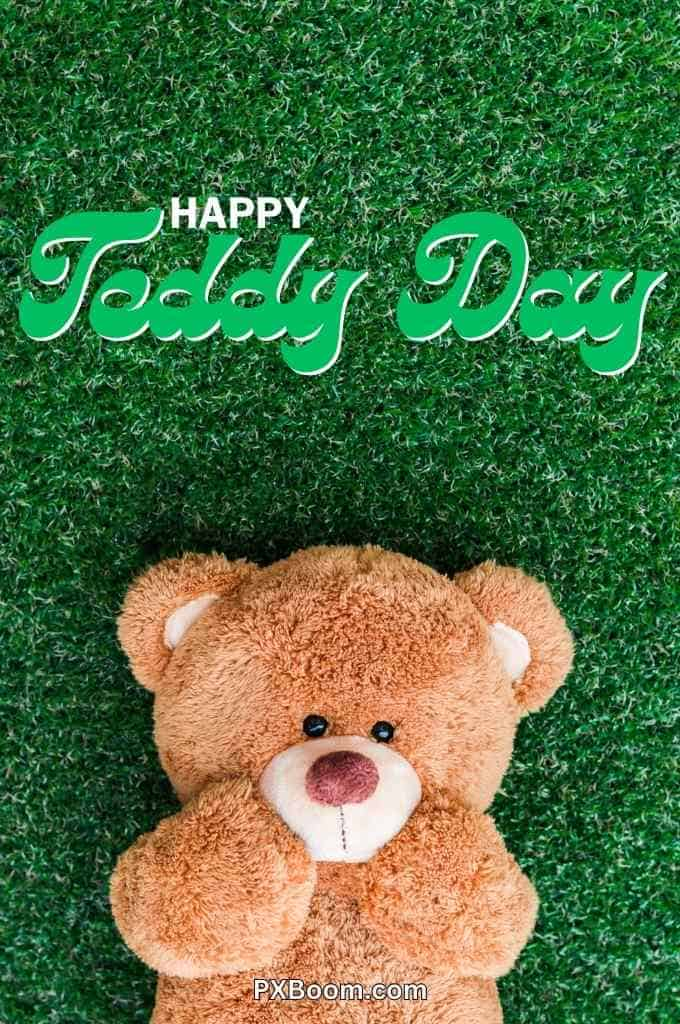 Teddy Day Gift Image