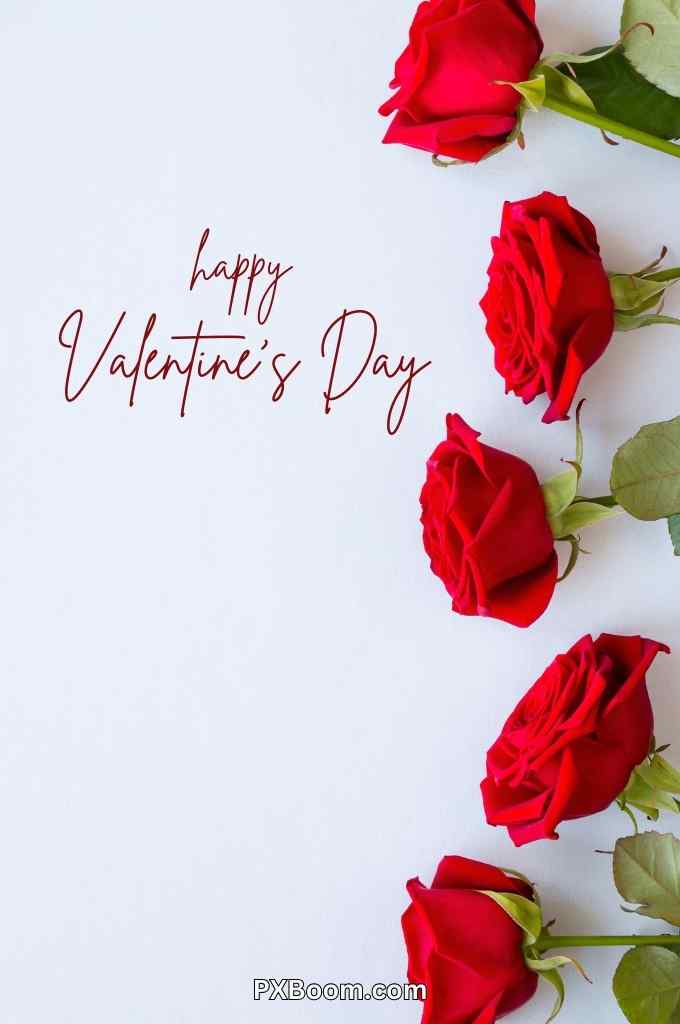 Happy Valentines Day Brother Images