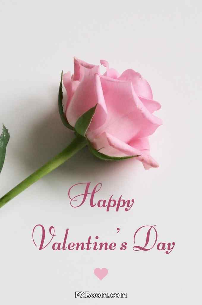 Happy Valentines Day Images 2024 Gif