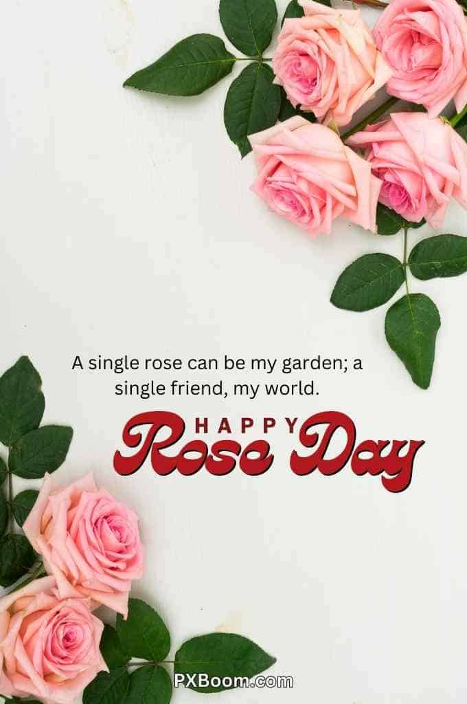 Happy Rose Day Images