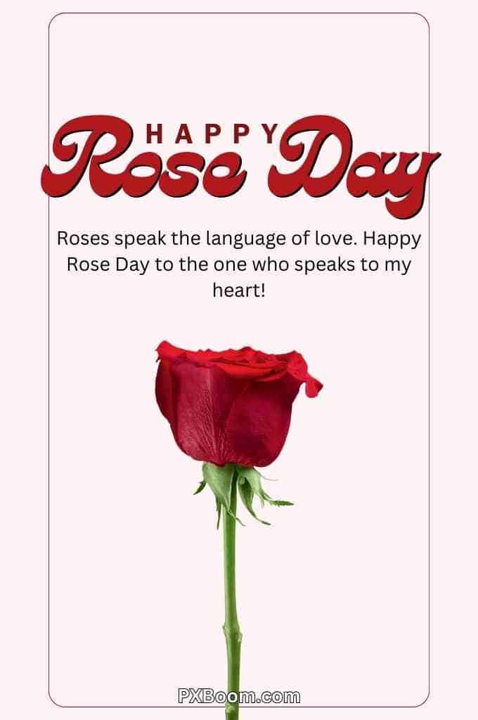 Happy Rose Day Hd Images