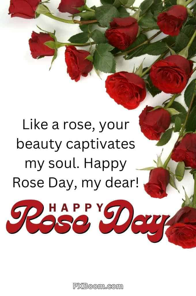 Happy Rose Day Images