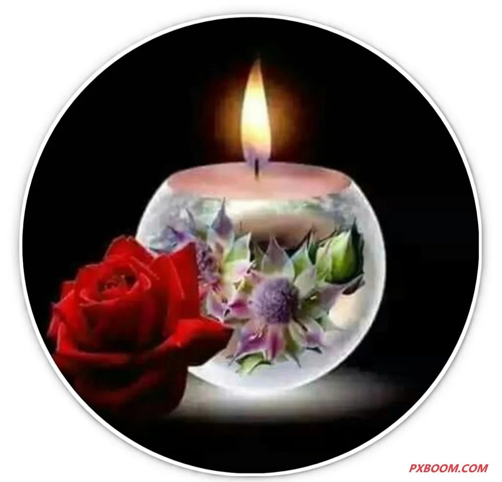 nice dp images whatsapp 1024x1024 1 Nice WhatsApp DP