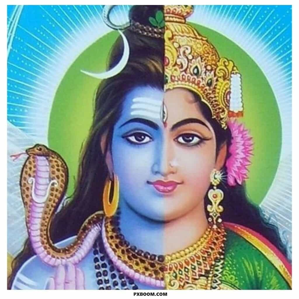 shiv parvati whatsapp dp hd 1024x1024 1 Shiv Parvati DP