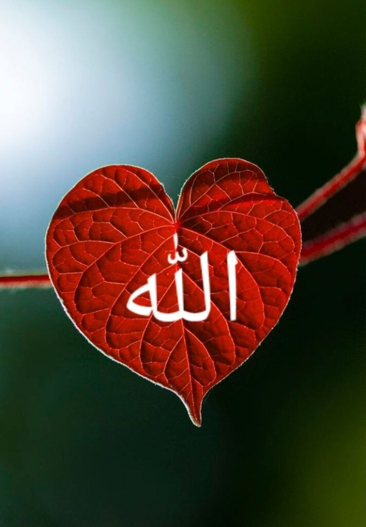 Allah Name Dp Beautiful