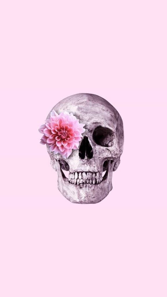 9767113 skull flower pink hd phone wallpaper Cyberpunk wallpaper