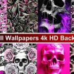Pink Skull Wallpapers